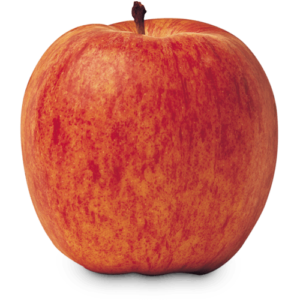 GalaMedium sized conical to round fruit. Bold, red striped over yellow background. Firm, juicy, fine textured, yellow-white flesh. Sweet, slightly tart flavour.